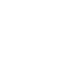 N Logo