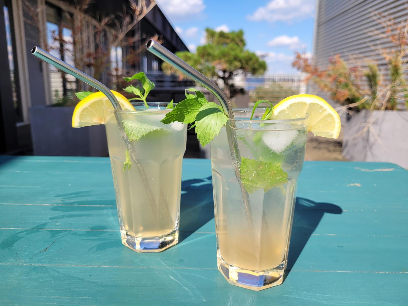 DIY: Erfrischender Bio-Cocktail | Der Nachhaltige Warenkorb